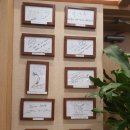 분당연세플러스안과의원 이미지