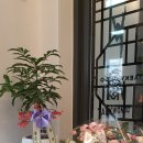 아이온태권도 이미지