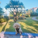 노비오스펜션