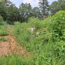 신114부동산공인중개사사무소 이미지