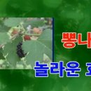 나무가람 네이버블로그