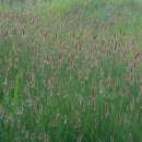 사랑의 소나기 이미지