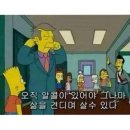 낭만고양이