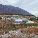 금장해수욕장 이미지