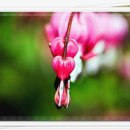 청도프로방스펜션민박 이미지