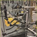 대한스포렉스 이미지