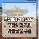 복룡동 시민문화공원 | 부산여행 가볼만한곳 가을 느낌 물씬나는 부산시민공원 방문후기