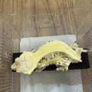4256 | 대전 파충류샵 낭게코 도안점 — 실제 방문 후기