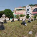 매포초등학교, 매포초교(병설유치원) 이미지