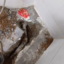 남촌도림동-3 이미지