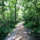 대부해솔길 1-1코스(순환코스) 이미지