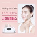 씨크릿플러스