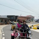 영석농장 | 250409-250410 1박2일 제주도 가좍!!! 여행!!!