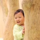 해밀당구장 이미지