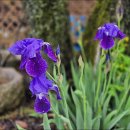 골뫼골명품마을 이미지