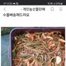 🌲🌲김치4종예약받아요((월욜배송 이미지