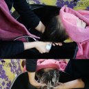 봉곡동402 | [창원두피탈모 전문]/더마힐mgf 전주 중화산동점 방문후기