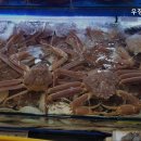 중도매인 7번 | [노량진 신선한 횟집 추천] 우정수산 노량진 우정수산, 신선함 보장