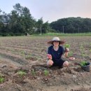 세정농원 이미지