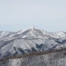 조은사람들 이미지