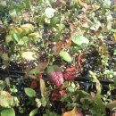 순화농장 이미지