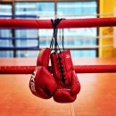 김정훈챠밍복싱센터 소사벌점 이미지