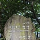 산객님 한라산 에서~ 이미지