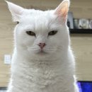 다이나핏김포