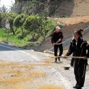 대계마을 이미지