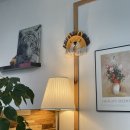 진도호시 이미지