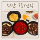 신사운전길 네이버블로그
