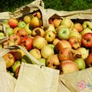 예산칼국수 이미지