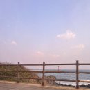 씨유(CU)진해이동무지개점 | [국내/제주도] 제주도 2박3일 혼여 뚜벅이 여행기 - 2 (해물라면, 어영공원, 빽다방, 도두 소품샵, 갈치...