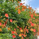 대성자동차마을 이미지