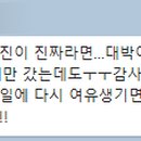 (주)펄스 네이버블로그