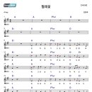 아르페지오 이미지