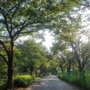 충북 괴산 조령산자연휴양림 계곡 바로 옆 마운틴밸리휴펜션 아기랑 가족펜션 여름휴가 힐링 추천