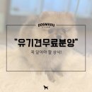 경기동물전문병원「산업동물 출장진료 전문」 | 강아지무료분양 상세하게!