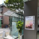 양재 고양이 전시 칼로스 아트 스페이스 후기