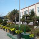 세지중학교 Daum카페