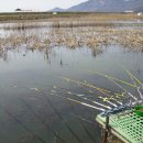 어류정낚시터 이미지