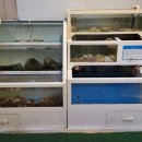 달서로 | 대구조개구이맛집 서부시장조개구이 맛있는곳 삼촌네 놀라온듯한 다퍼주는삼촌 방문후기