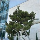 장자1길 이미지