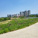 성본3리 네이버블로그