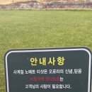 오로라그늘집