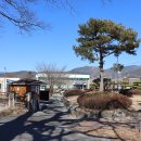 광의면사무소 앞2 이미지