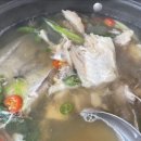 복군물메기 이미지