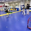 금강태권도 파워점핑 이미지