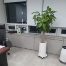 제일크린산업 이미지