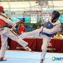 반딧불태권도체육관 이미지